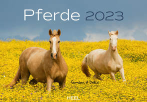 Pferde 2023