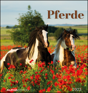 Pferde 2023 – Postkartenkalender 16×17 cm – Horses – zum Aufstellen oder Aufhängen – Monatskalendarium – Gadget – Mitbringsel – Alpha Edition