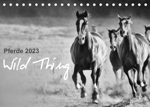 Pferde 2023 Wild Thing (Tischkalender 2023 DIN A5 quer) von Peters,  Sabine
