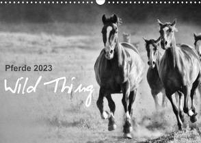 Pferde 2023 Wild Thing (Wandkalender 2023 DIN A3 quer) von Peters,  Sabine