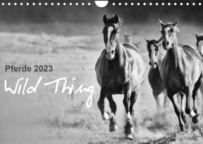 Pferde 2023 Wild Thing (Wandkalender 2023 DIN A4 quer) von Peters,  Sabine