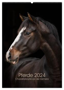 Pferde 2024 – Charakterköpfe vor der Kamera (Wandkalender 2024 DIN A2 hoch), CALVENDO Monatskalender von Müller,  Paula