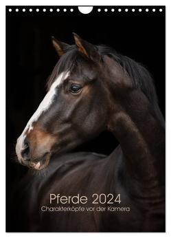 Pferde 2024 – Charakterköpfe vor der Kamera (Wandkalender 2024 DIN A4 hoch), CALVENDO Monatskalender von Müller,  Paula