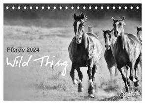Pferde 2024 Wild Thing (Tischkalender 2024 DIN A5 quer), CALVENDO Monatskalender von Peters,  Sabine