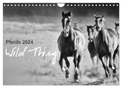 Pferde 2024 Wild Thing (Wandkalender 2024 DIN A4 quer), CALVENDO Monatskalender von Peters,  Sabine