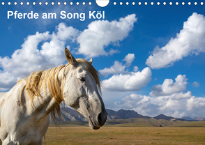 Pferde am Song Köl (Wandkalender 2020 DIN A4 quer) von Rusch,  Winfried