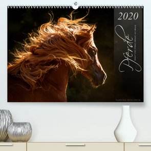 Pferde – Anmut und Stärke gepaart mit Magie (Premium, hochwertiger DIN A2 Wandkalender 2020, Kunstdruck in Hochglanz) von Mischnik,  Sabrina