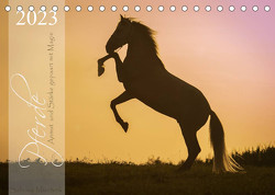 Pferde – Anmut und Stärke gepaart mit Magie (Tischkalender 2023 DIN A5 quer) von Mischnik,  Sabrina