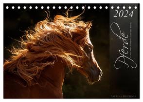 Pferde – Anmut und Stärke gepaart mit Magie (Tischkalender 2024 DIN A5 quer), CALVENDO Monatskalender von Mischnik,  Sabrina
