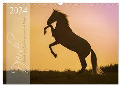 Pferde – Anmut und Stärke gepaart mit Magie (Wandkalender 2024 DIN A3 quer), CALVENDO Monatskalender von Mischnik,  Sabrina