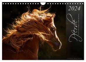 Pferde – Anmut und Stärke gepaart mit Magie (Wandkalender 2024 DIN A4 quer), CALVENDO Monatskalender von Mischnik,  Sabrina