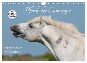 Pferde der Camargue – Schimmel im Rhônedelta (Wandkalender 2024 DIN A4 quer), CALVENDO Monatskalender von Bölts,  Meike