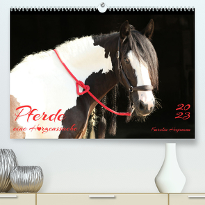 Pferde – eine Herzenssache (Premium, hochwertiger DIN A2 Wandkalender 2023, Kunstdruck in Hochglanz) von Heepmann,  Karolin