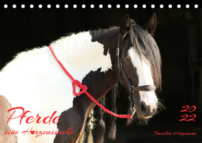 Pferde – eine Herzenssache (Tischkalender 2022 DIN A5 quer) von Heepmann - www.Karo-Fotos.de,  Karolin