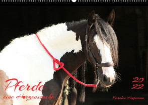 Pferde – eine Herzenssache (Wandkalender 2022 DIN A2 quer) von Heepmann - www.Karo-Fotos.de,  Karolin