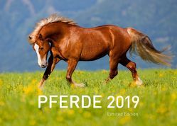 Pferde Exklusivkalender 2019 (Limited Edition) von Sarti,  Alessandra