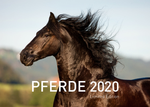Pferde Exklusivkalender 2020 (Limited Edition) von Sarti,  Alessandra