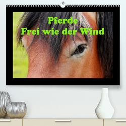 Pferde Frei wie der Wind (Premium, hochwertiger DIN A2 Wandkalender 2022, Kunstdruck in Hochglanz) von Wolf,  Jan