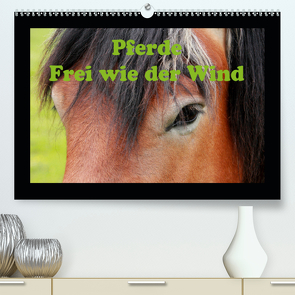 Pferde Frei wie der Wind (Premium, hochwertiger DIN A2 Wandkalender 2020, Kunstdruck in Hochglanz) von Wolf,  Jan