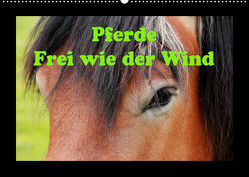 Pferde Frei wie der Wind (Wandkalender 2022 DIN A2 quer) von Wolf,  Jan