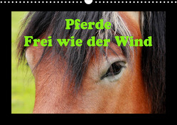 Pferde Frei wie der Wind (Wandkalender 2022 DIN A3 quer) von Wolf,  Jan