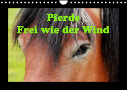Pferde Frei wie der Wind (Wandkalender 2022 DIN A4 quer) von Wolf,  Jan