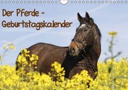 Pferde / Geburtstagskalender / AT-Version (Wandkalender immerwährend DIN A4 quer) von Lindert-Rottke,  Antje