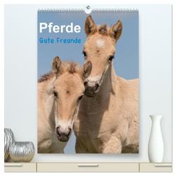 Pferde Gute Freunde (hochwertiger Premium Wandkalender 2024 DIN A2 hoch), Kunstdruck in Hochglanz von Bölts,  Meike