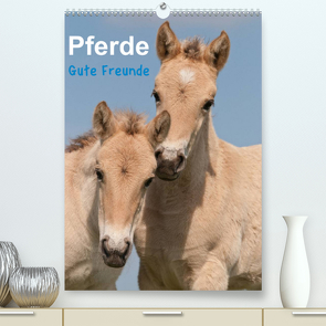 Pferde Gute Freunde (Premium, hochwertiger DIN A2 Wandkalender 2023, Kunstdruck in Hochglanz) von Bölts,  Meike