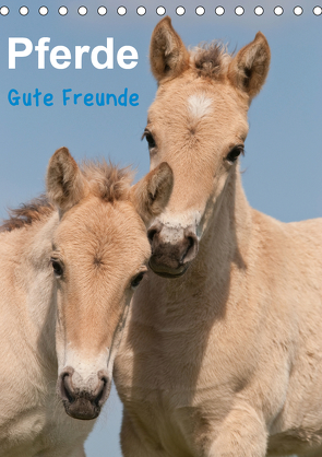 Pferde Gute Freunde (Tischkalender 2021 DIN A5 hoch) von Bölts,  Meike