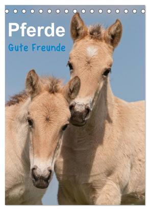 Pferde Gute Freunde (Tischkalender 2024 DIN A5 hoch), CALVENDO Monatskalender von Bölts,  Meike