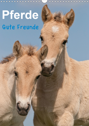 Pferde Gute Freunde (Wandkalender 2021 DIN A3 hoch) von Bölts,  Meike