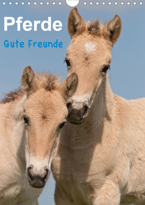 Pferde Gute Freunde (Wandkalender 2021 DIN A4 hoch) von Bölts,  Meike