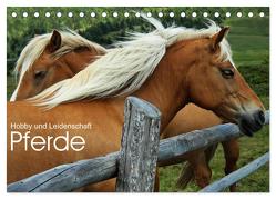 Pferde – Hobby und Leidenschaft (Tischkalender 2024 DIN A5 quer), CALVENDO Monatskalender von Niederkofler,  Georg