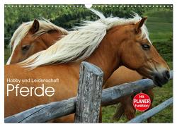 Pferde – Hobby und Leidenschaft (Wandkalender 2024 DIN A3 quer), CALVENDO Monatskalender von Niederkofler,  Georg