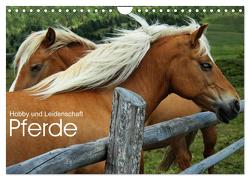 Pferde – Hobby und Leidenschaft (Wandkalender 2024 DIN A4 quer), CALVENDO Monatskalender von Niederkofler,  Georg