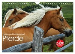 Pferde – Hobby und Leidenschaft (Wandkalender 2024 DIN A4 quer), CALVENDO Monatskalender von Niederkofler,  Georg