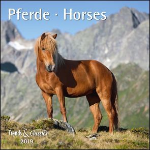 Pferde Horses 2019 – Broschürenkalender – Wandkalender – mit herausnehmbarem Poster – Format 30 x 30 cm von DUMONT Kalenderverlag