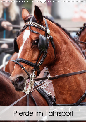 Pferde im Fahrsport (Wandkalender 2021 DIN A3 hoch) von Sixt,  Marion