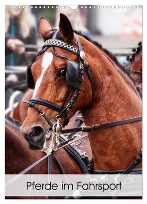 Pferde im Fahrsport (Wandkalender 2024 DIN A3 hoch), CALVENDO Monatskalender von Sixt,  Marion