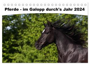 Pferde – im Galopp durch’s Jahr 2024 (Tischkalender 2024 DIN A5 quer), CALVENDO Monatskalender von Hutfluss,  Jeanette