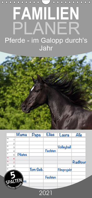 Pferde – im Galopp durch’s Jahr – Familienplaner hoch (Wandkalender 2021 , 21 cm x 45 cm, hoch) von Hutfluss,  Jeanette