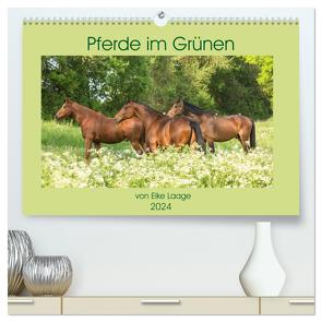 Pferde im Grünen (hochwertiger Premium Wandkalender 2024 DIN A2 quer), Kunstdruck in Hochglanz von Laage,  Elke