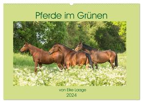 Pferde im Grünen (Wandkalender 2024 DIN A2 quer), CALVENDO Monatskalender von Laage,  Elke