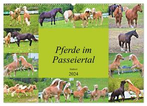 Pferde im Passeiertal (Wandkalender 2024 DIN A2 quer), CALVENDO Monatskalender von Pixner,  Markus