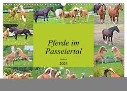Pferde im Passeiertal (Wandkalender 2024 DIN A3 quer), CALVENDO Monatskalender von Pixner,  Markus