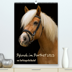 Pferde im Portait (Premium, hochwertiger DIN A2 Wandkalender 2023, Kunstdruck in Hochglanz) von Bischof,  Melanie, Bischof,  Tierfotografie