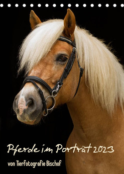 Pferde im Portait (Tischkalender 2023 DIN A5 hoch) von Bischof,  Melanie, Bischof,  Tierfotografie
