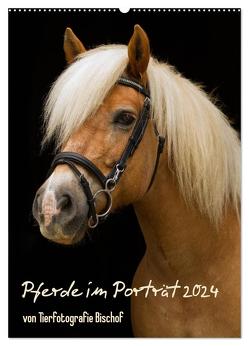 Pferde im Portait (Wandkalender 2024 DIN A2 hoch), CALVENDO Monatskalender von Bischof,  Melanie Bischof,  Tierfotografie