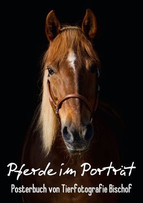 Pferde im Porträt – Posterbuch (Posterbuch DIN A2 hoch) von Bischof,  Tierfotografie